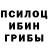 Псилоцибиновые грибы ЛСД Sveta.