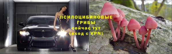мескалин Алексин