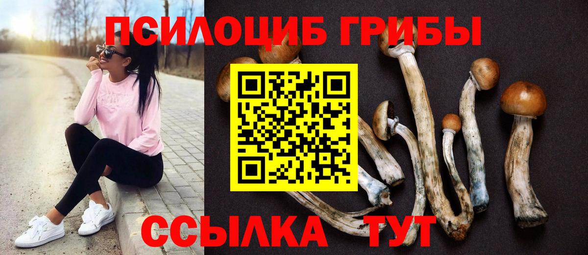 Михайловск  Галлюциногенные грибы прущие грибы  Галлюциногенные грибы MAGIC MUSHROOMS  Вход с VPN 