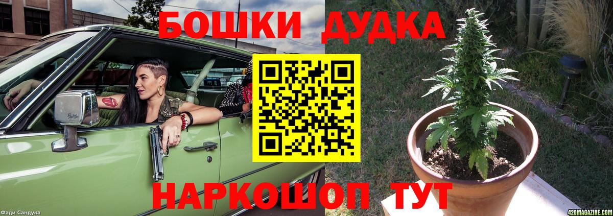 Михайловск  Марихуана семена  Канабис план  Вход с VPN  Бошки марихуана OG Kush 